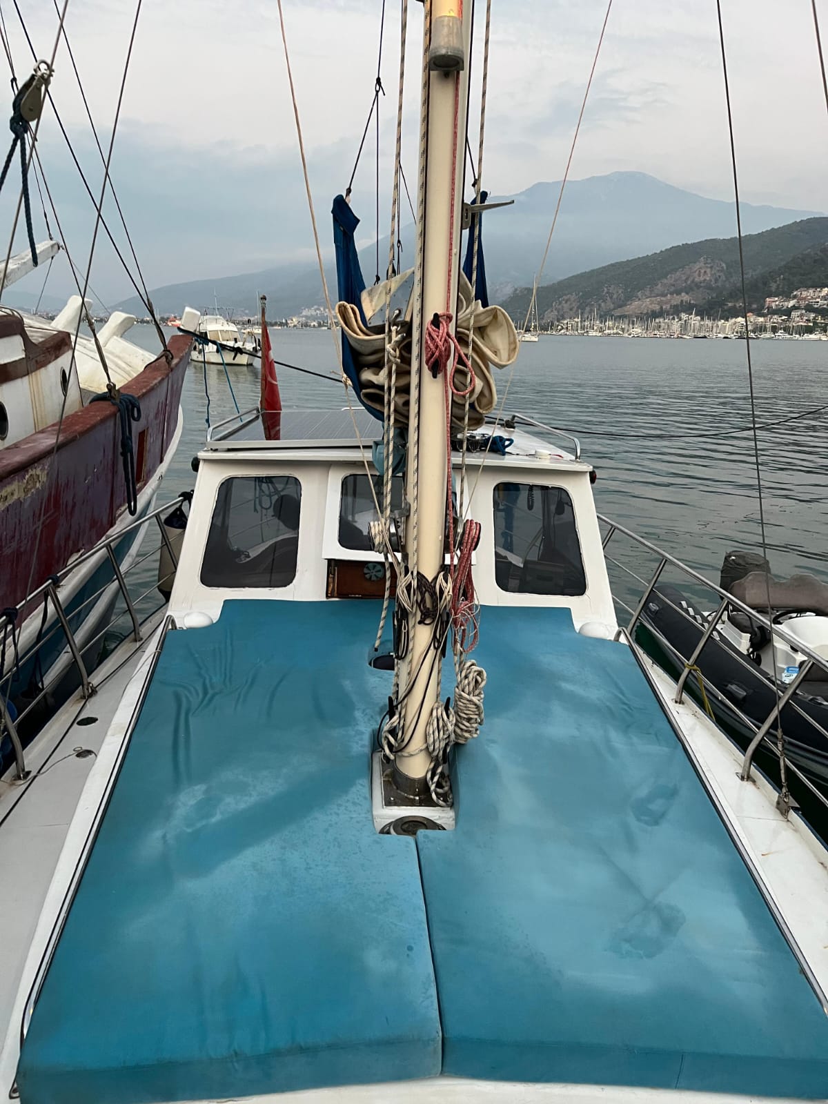 MAVİŞ