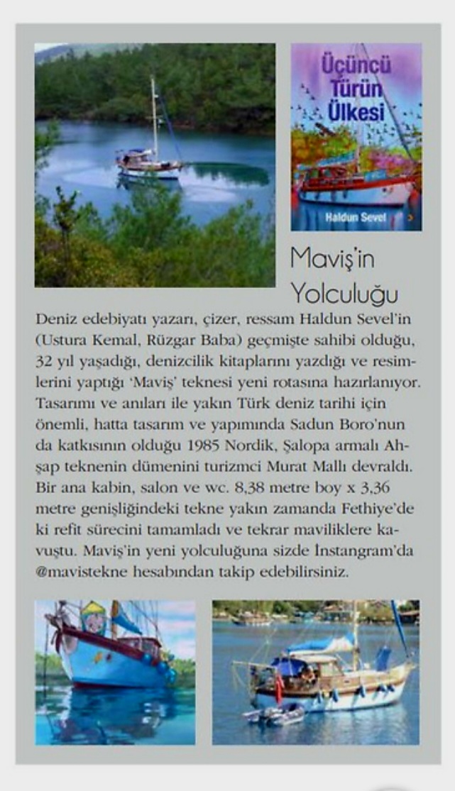 MAVİŞ